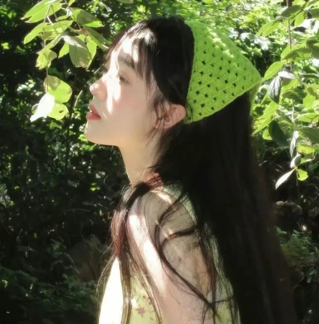 写珍集